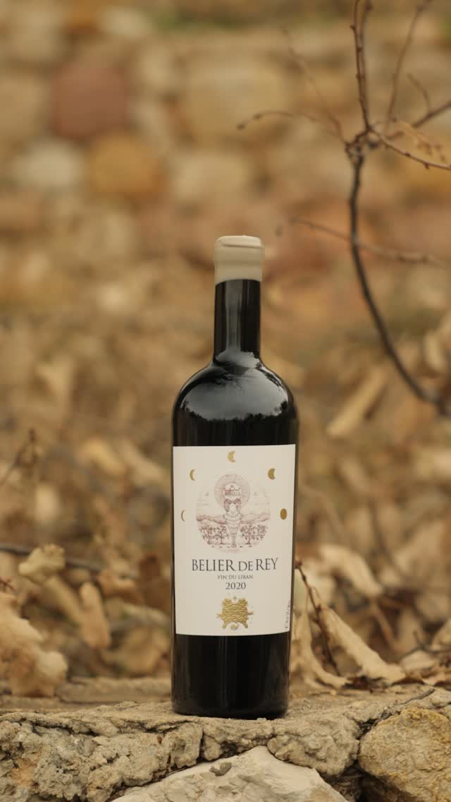 Bélier de Rey 2020 bottle on stone